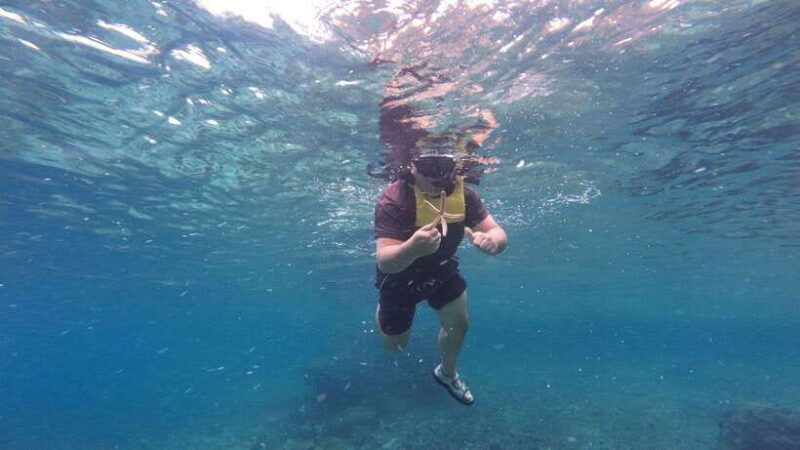 Cebu: Moalboal Snorkeling & Kawasan Canyoneering Adventure - Good To Know