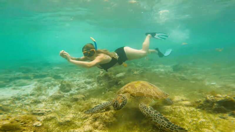 Cebu: Moalboal Snorkeling & Kawasan Canyoneering Adventure - Practical Tips for Travelers
