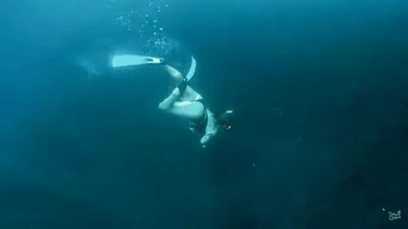 Cebu: Moalboal Snorkeling & Kawasan Canyoneering Adventure - Final Thoughts: Is This Tour Worth It?