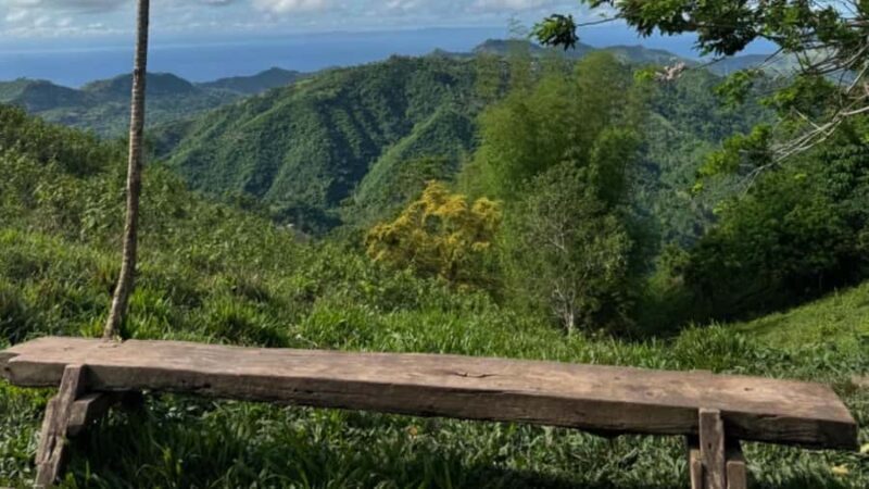 Cebu: Mount Naupa Hiking and Waterfall Tour - Good To Know