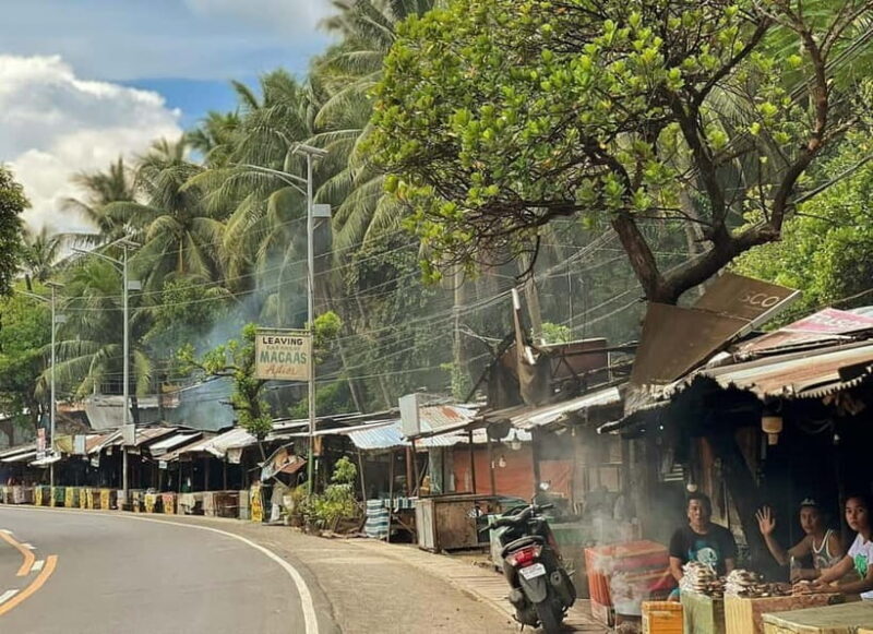 Cebu: Northern Beaches and Local Delicacies Tour - A Closer Look at the Itinerary and What to Expect