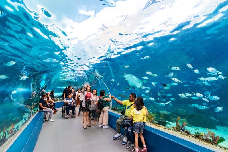Cebu Ocean Park Ticket - Cebu Ocean Park at a glance
