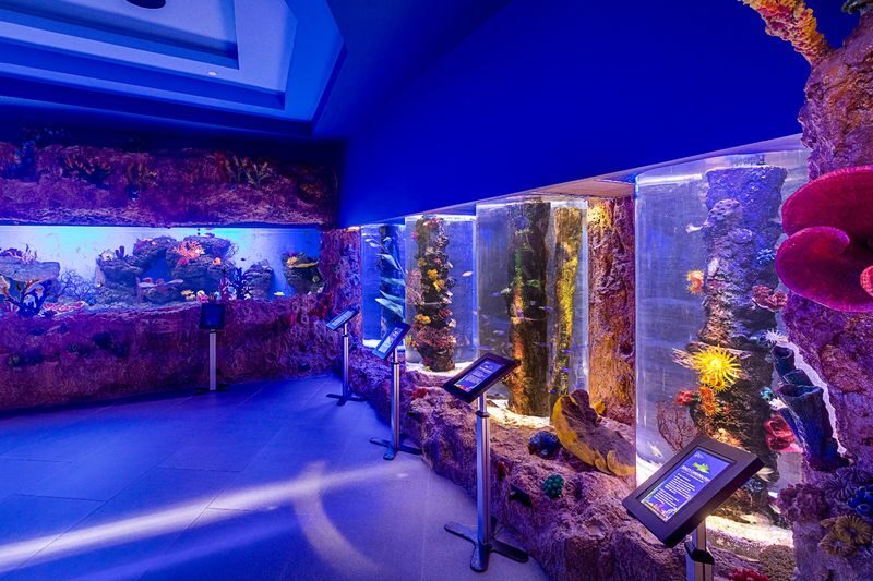 Cebu Ocean Park Ticket - What the admission ticket covers