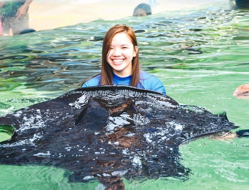 Cebu Ocean Park Ticket - Shows and animal encounters