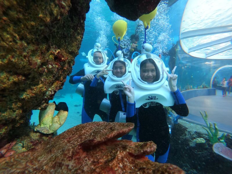 Cebu Ocean Park Ticket - How long to stay and how to pace your visit