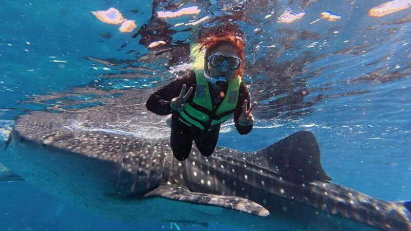 Cebu: Oslob Whale Shark Encounter & SUMILON with Transfers - Sumilon Sandbar: Scenic Relaxation