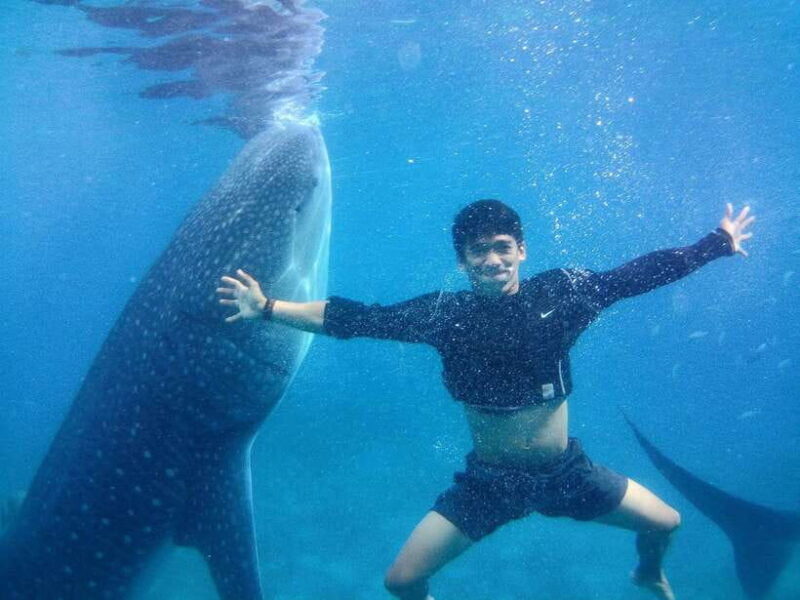 Cebu: Oslob Whale Shark Encounter & SUMILON with Transfers - Practical Tips for Making the Most of Your Day