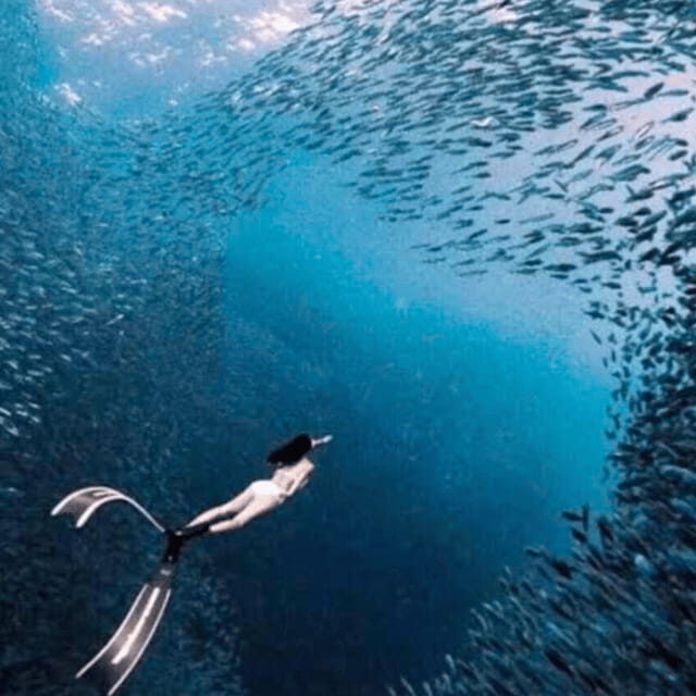 Cebu: Oslob Whale Shark, Sumilon, Ruins, Simala Church - Final Thoughts