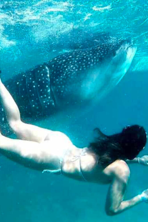Cebu: Oslob Whale Shark, Sumilon, Ruins, Simala Church - FAQs