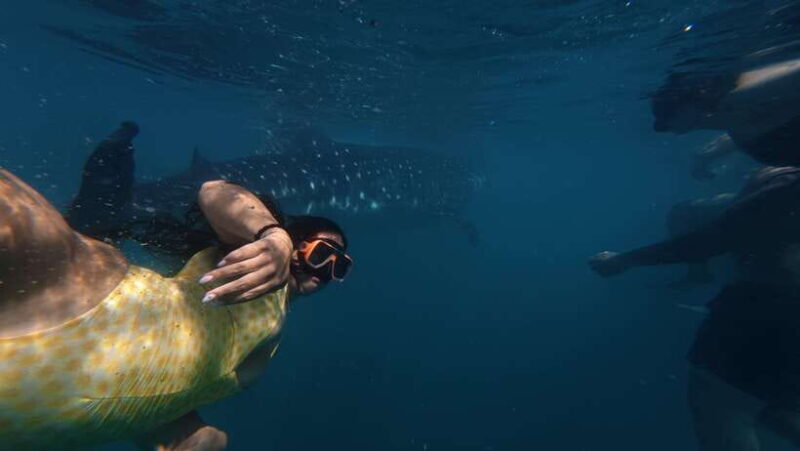 Cebu Oslob Whale Shark Swimming & Kawasan Falls Canyoneering - Final Thoughts