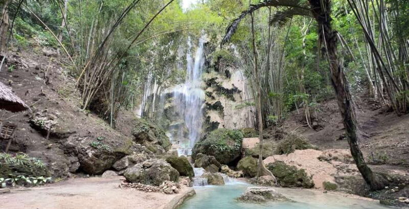 Cebu: Oslob Whale Shark Swimming - Authentic Experiences and Practical Tips from Past Travelers