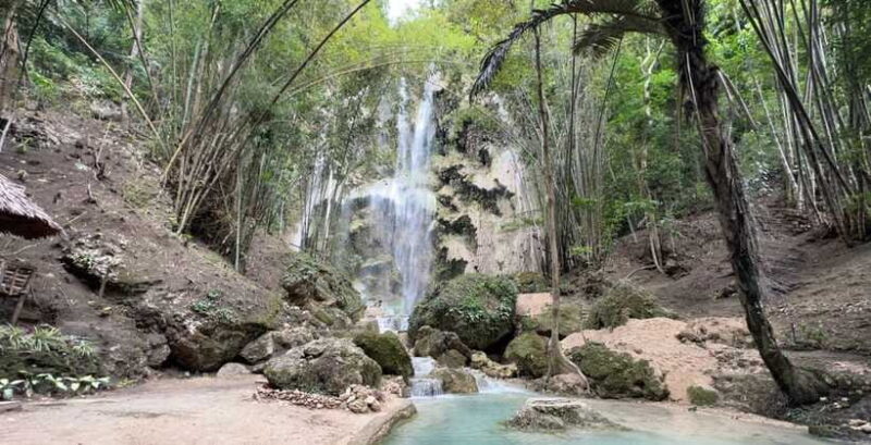 Cebu: Oslob Whale Shark Swimming - The Sum Up