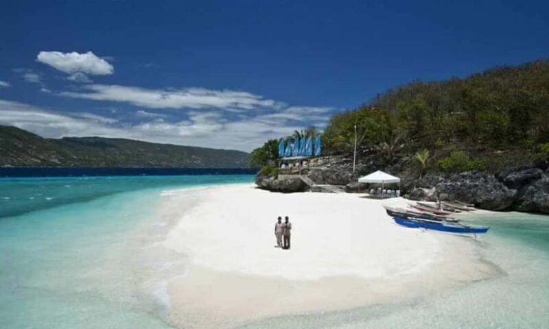 Cebu: Oslob Whale Shark, Tumalog Falls, and Sumilon Sandbar - Good To Know