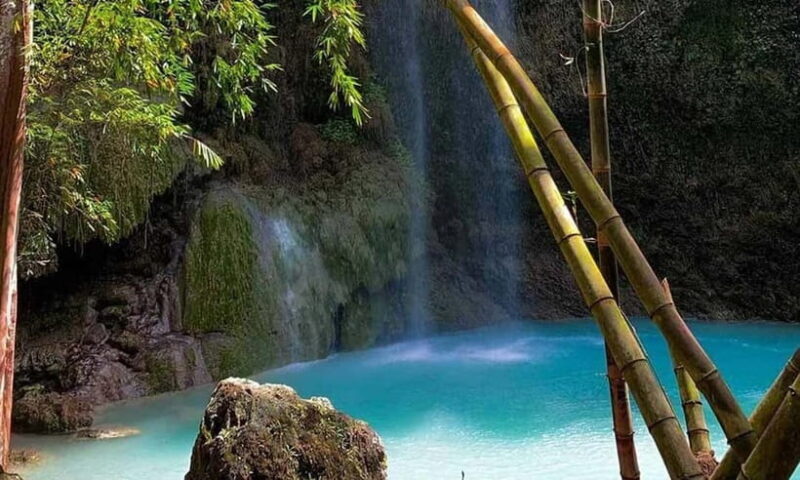 Cebu: Oslob Whale Shark, Tumalog Falls, and Sumilon Sandbar - A Deep Dive into the Cebu Experience