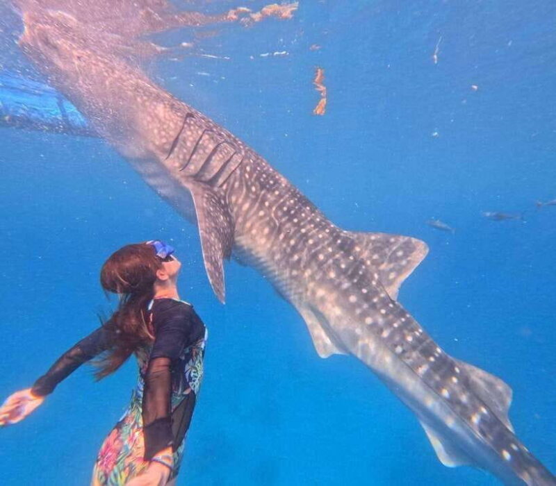 Cebu: Oslob Whale Shark Watching and Badian Canyoneering - Why Choose This Tour?