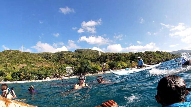 Cebu Oslob: Whale Shark Watching Experience - Authentic Experiences and Tips from Reviewers