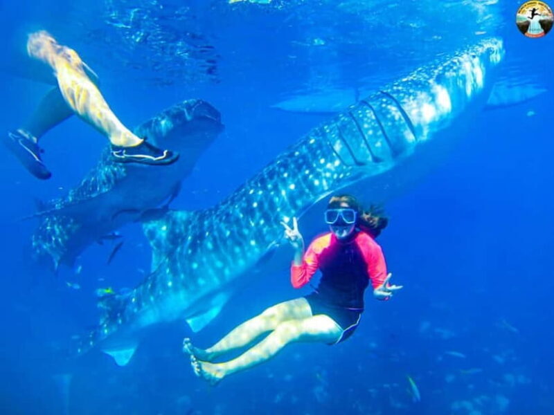 Cebu: Oslob Whale Sharks & Kawasan Canyoneering Group Tour - Good To Know