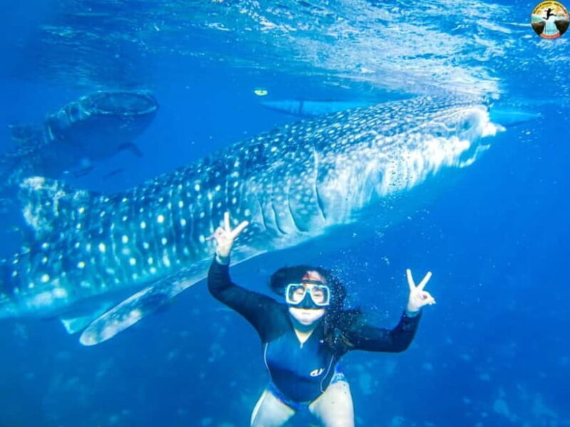 Cebu: Oslob Whale Sharks & Kawasan Canyoneering Group Tour - Final Thoughts: Who Should Consider This Tour?