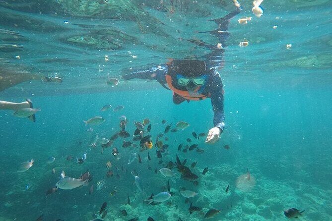 Cebu: Oslob Whale Sharks, Tumalog Falls and Sardines Snorkeling - Final Thoughts