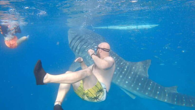 Cebu: Oslob Whaleshark & Sardines Run Snorkeling Day Tour - Practical Details: What to Know Before You Go