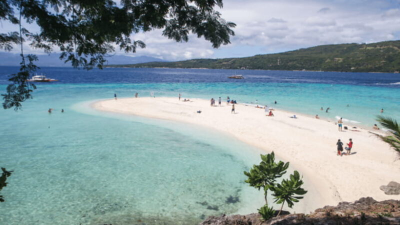 Cebu Oslob Whaleshark, Tumalog Falls&Sumilon Island(Private) - FAQ