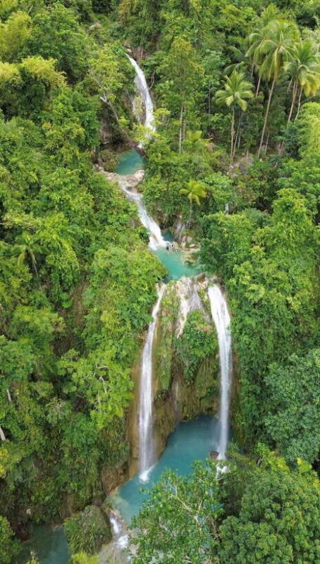 Cebu Oslob WhaleShark,Inambakan Falls& Moalboal Sardines Run - An Overview of the Tour