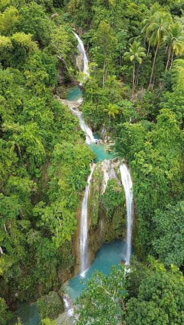 Cebu Oslob WhaleShark,Inambakan Falls& Moalboal Sardines Run - Authentic Experiences Highlighted by Reviewers