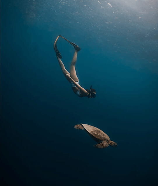 Cebu Oslob WhaleShark,Inambakan Falls& Moalboal Sardines Run - Final Thoughts: Is This Tour Worth It?