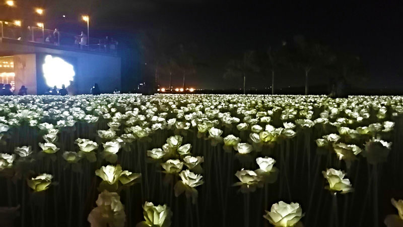 Cebu Panoramic Night Tour by Southwest Tours - From the Cordova wharf to Cebu’s night lights