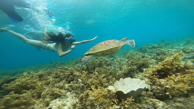 Cebu: Pescador Island, Sardines run and Kawasan Canyoneering - Final Thoughts: Is It Worth It?