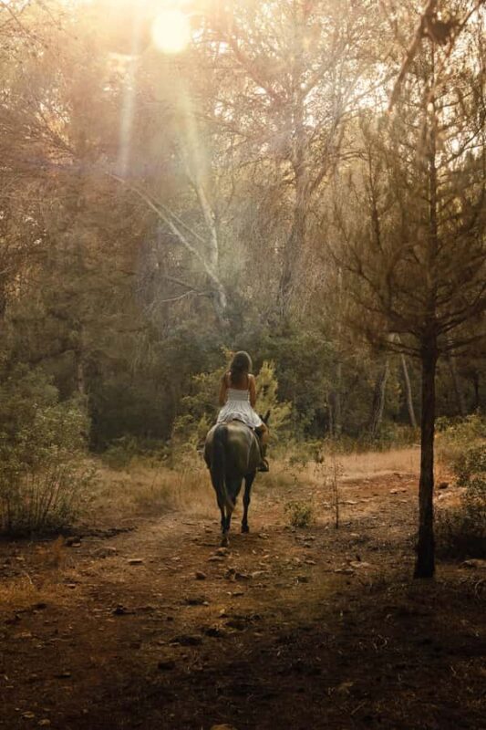 Cebu, Philippines: Mountain Heritage Horseback Ride - An Authentic Cebu Mountain Adventure on Horseback