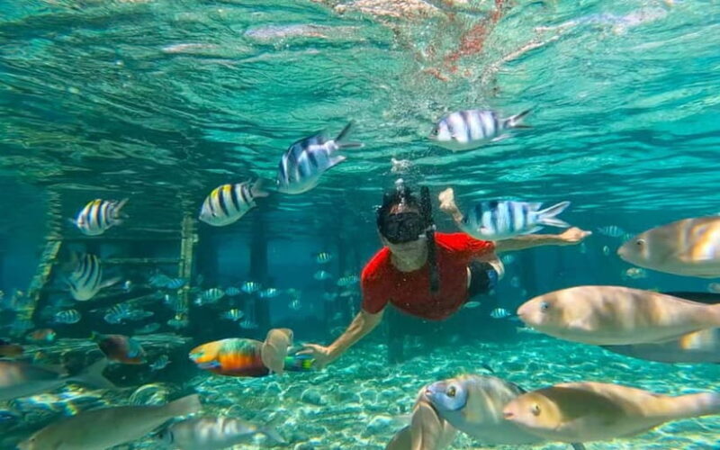 Cebu: Private Mactan Island Hopping Tour with Lunch - Good To Know