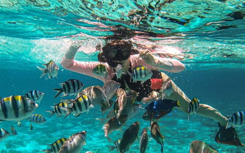 Cebu: Private Mactan Island Hopping Tour with Lunch - Gilutungan Island: The Marine Sanctuary  