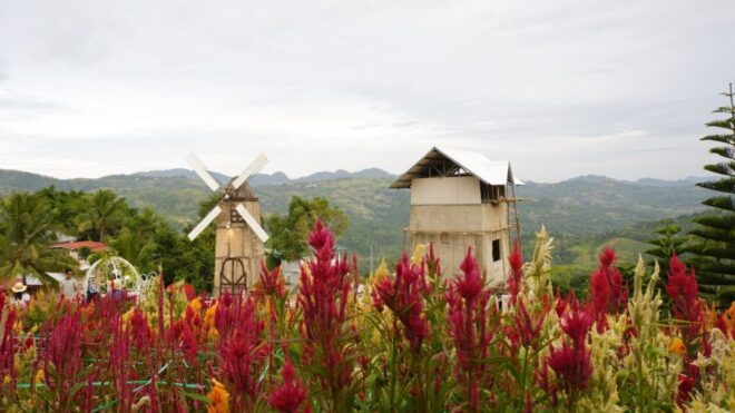 Cebu: Private Panoramic Tour With Dinner - Duration and Starting Times