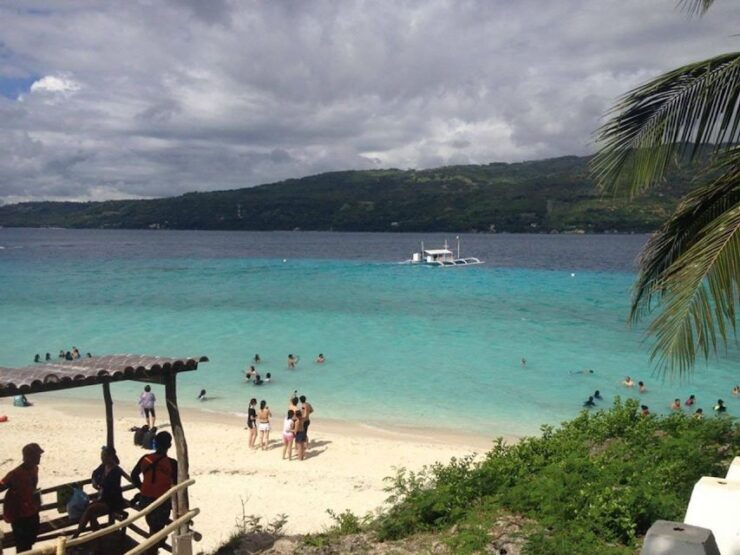 Cebu: Private Sumilon Island & Optional Whale Shark Swim - Activity Details
