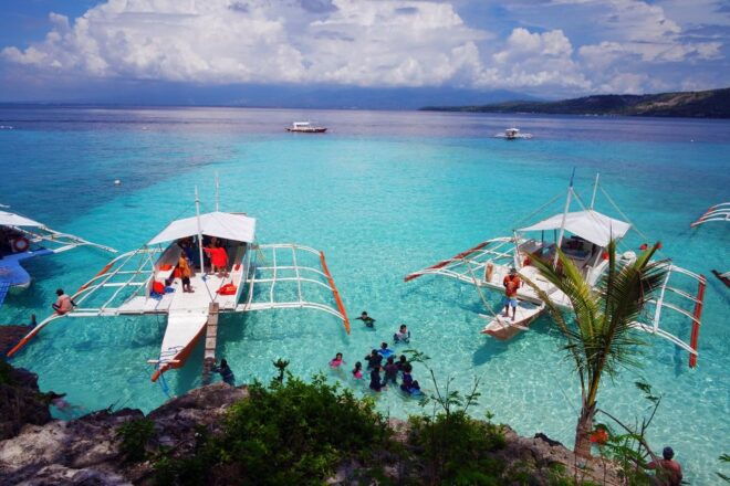 Cebu: Private Sumilon Island & Optional Whale Shark Swim - Encounter With Marine Life