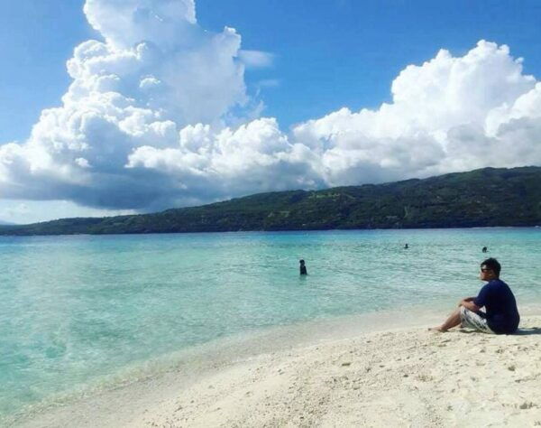 Cebu: Private Sumilon Island & Optional Whale Shark Swim - Additional Whale Shark Options