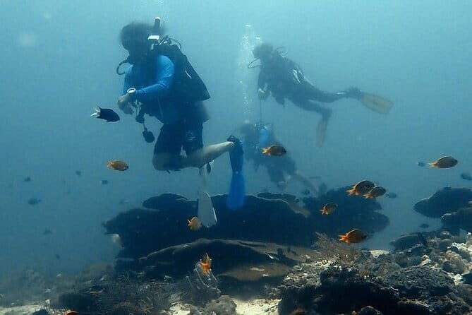 Cebu Private Tour 3 Islands Hopping Gilutungan Caohagan Nalusuan - Who Will Love This Tour?