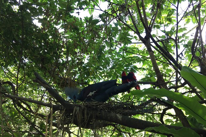 Cebu Safari and Adventure Park - Tour Details