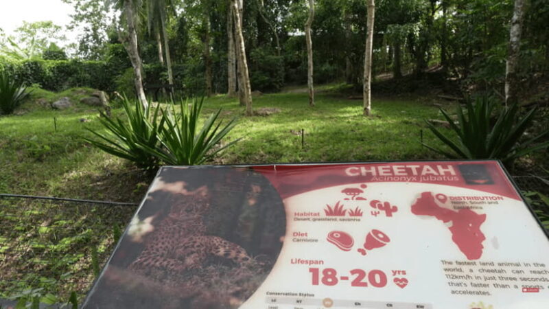 Cebu Safari: Experience Wildlife Up Close - Good To Know