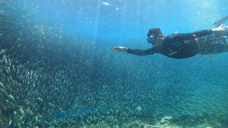 Cebu: Sardine Run Snorkeling, Mantayupan Falls & ATV Thrills - Good To Know
