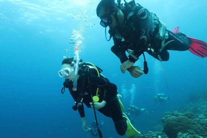 Cebu: Scuba Diving Experience Beach Entry in Mactan - Meeting and Pickup Details
