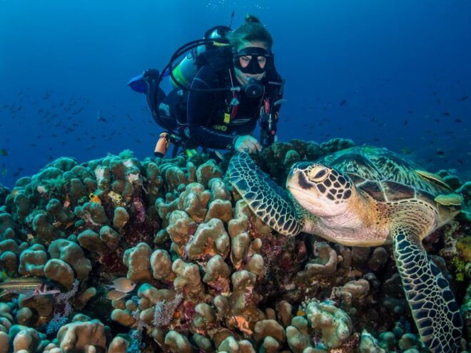 Cebu: Scuba Diving in Pescador Island and Sardine Snorkeling - Full Description