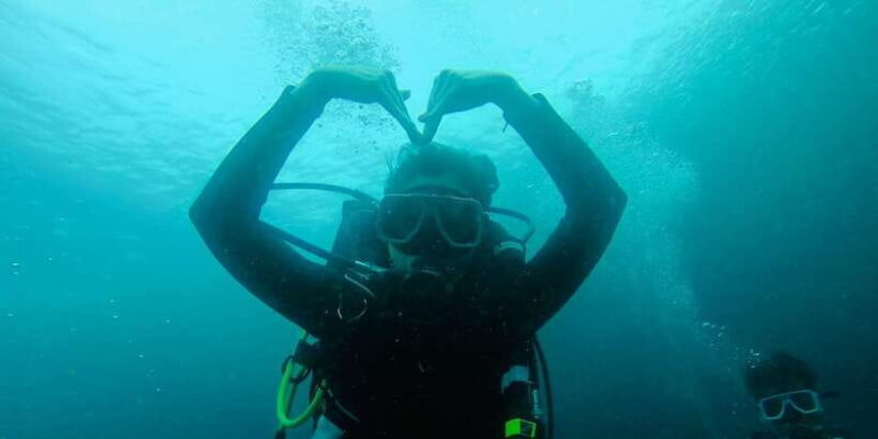 Cebu: Scuba Diving with Whale Sharks Trip in Oslob - Return and Drop-off  