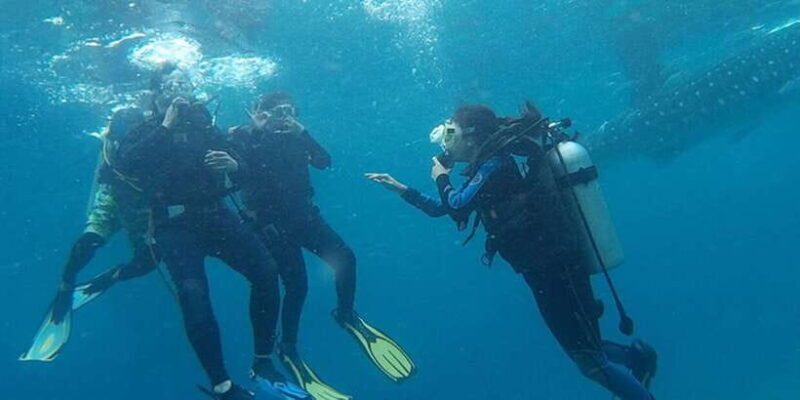 Cebu: Scuba Diving with Whale Sharks Trip in Oslob - Additional Details and Practical Considerations