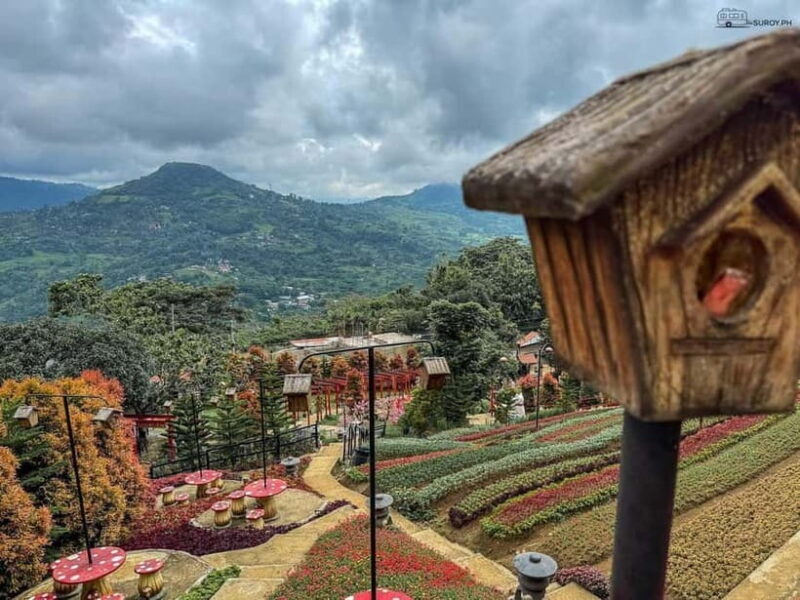 Cebu: Simala Shrine and City Tour Package A - FAQs