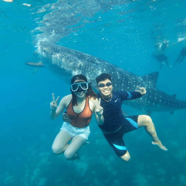 Cebu: Small-Group South Cebu, Oslob and Simala 16-Hour Tour - Starting with the Highlights: An Adventure Packed Day