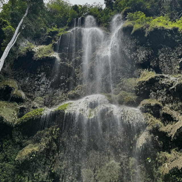 Cebu: Small-Group South Cebu, Oslob and Simala 16-Hour Tour - FAQs