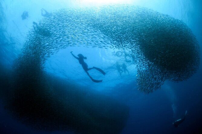 Cebu Tour Package 3D2N - Good To Know