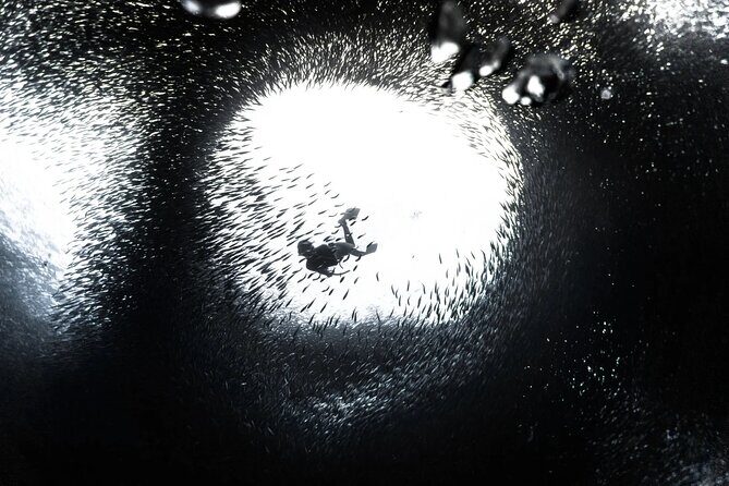 Cebu Tour Package 3D2N - What to Expect on the Tour